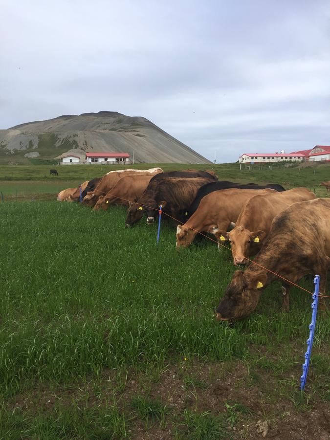 Eithi Farmhouse Grundarfjordur Zewnętrze zdjęcie